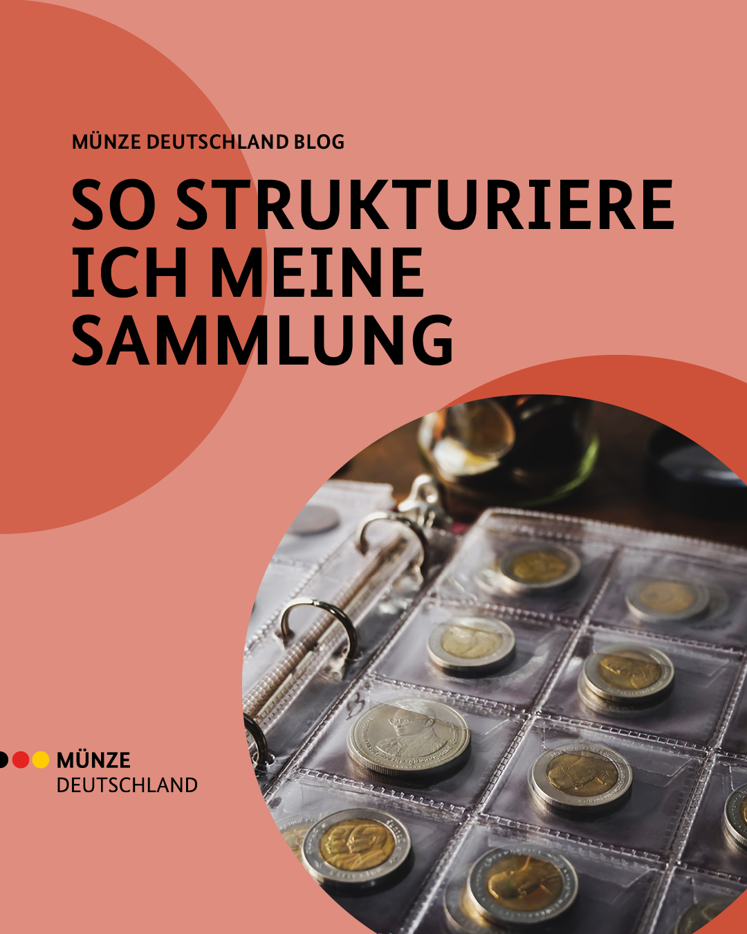So strukturiere ich meine Sammlung