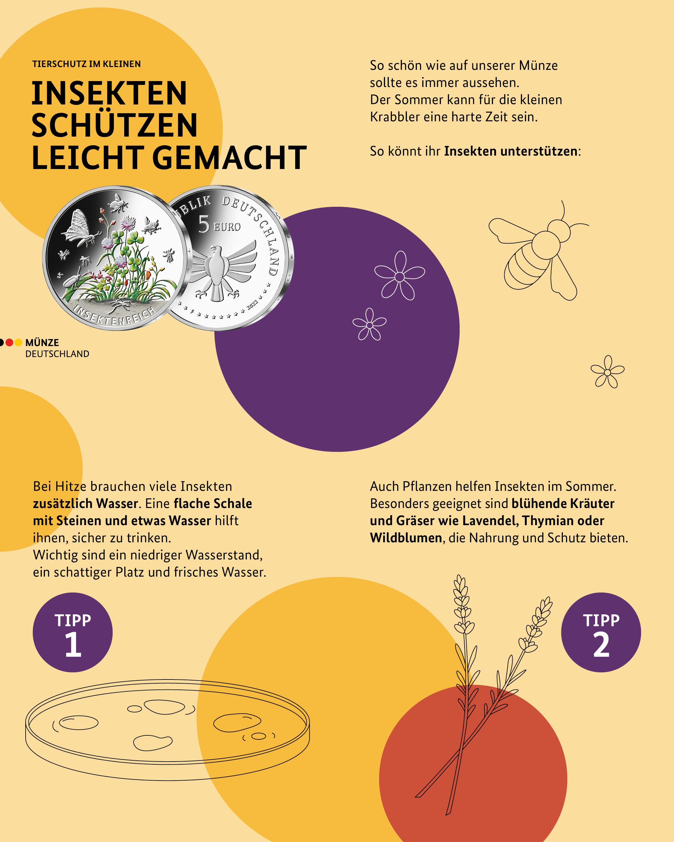 Insekten schützen leicht gemacht