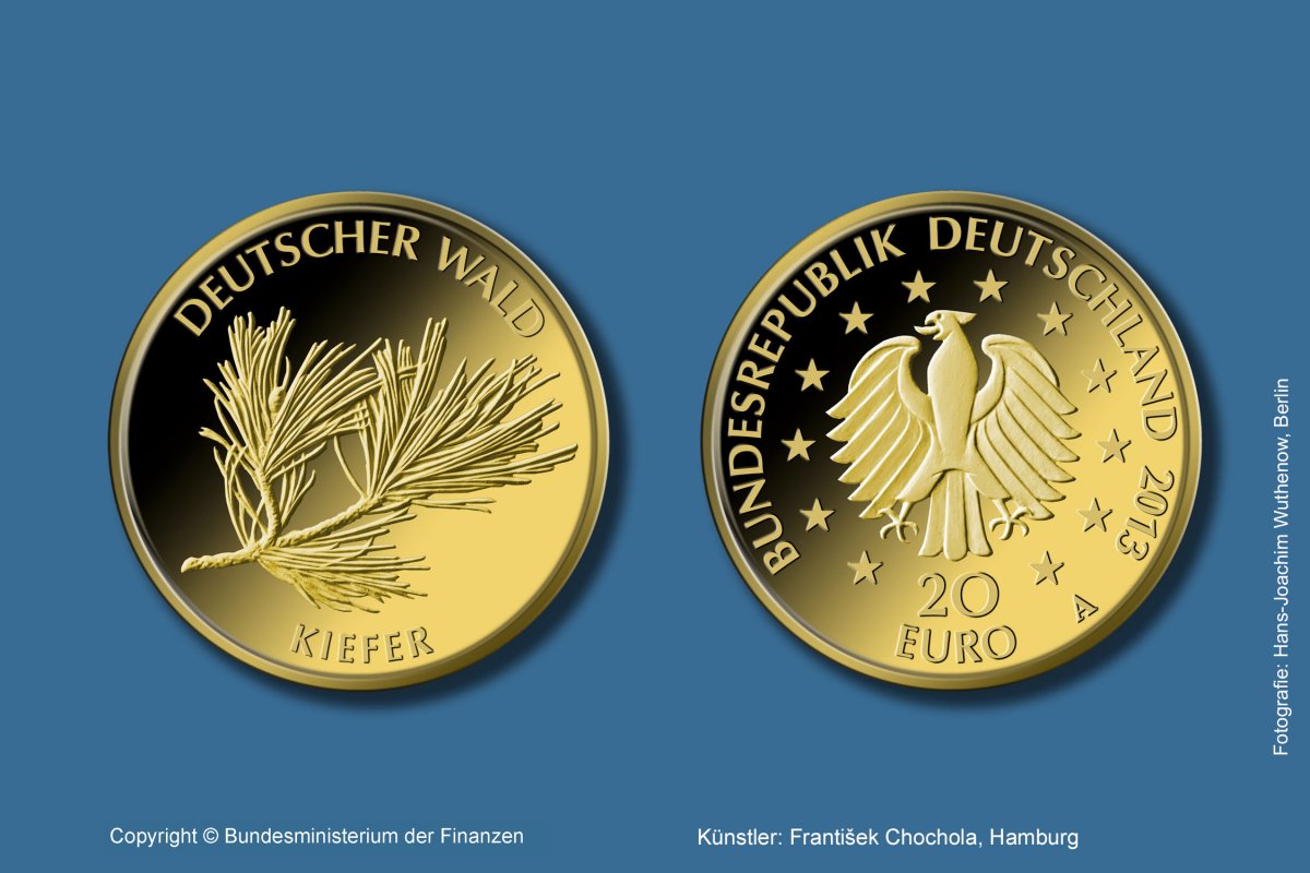Download 20-Euro-Goldmünze 2013 "Kiefer" 