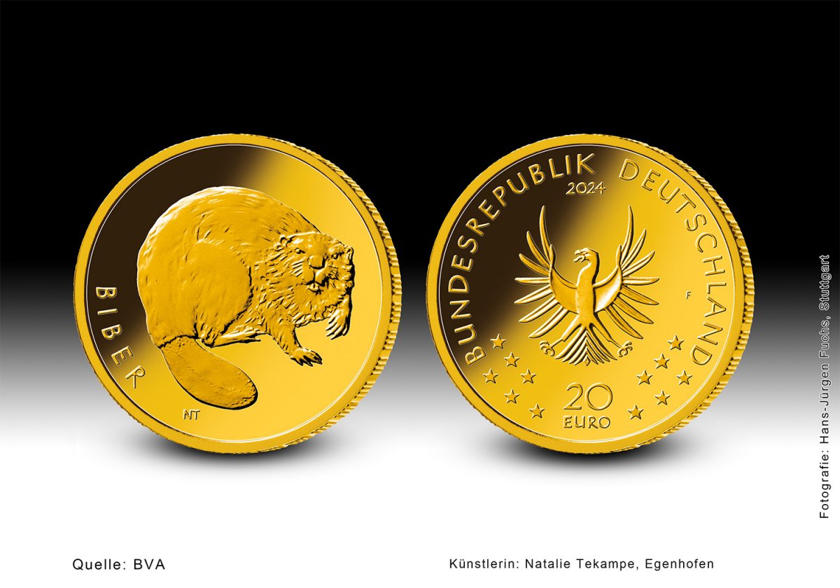 Download 20-Euro-Goldmünze 2024 "Biber" 