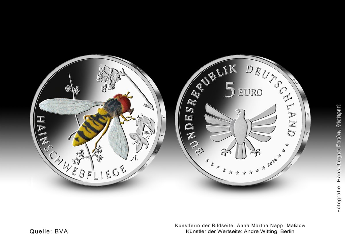 Download 5-Euro-Sammlermünze 2024 "Hainschwebfliege" 