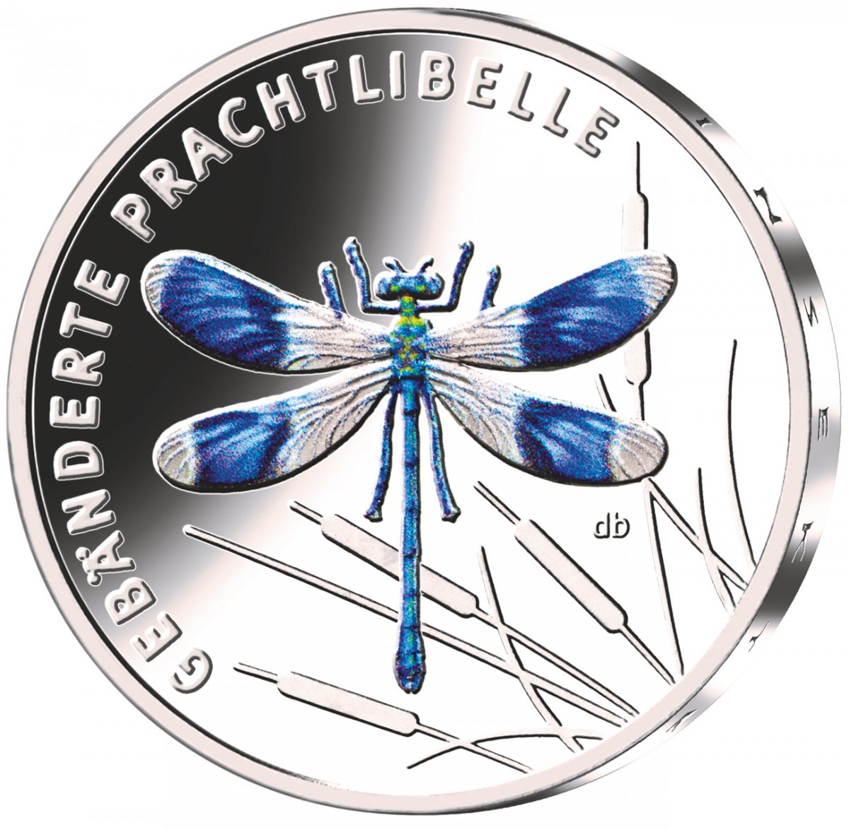 5-Euro-Farbdruckmünze 2023 "Gebänderte Prachtlibelle"                                                