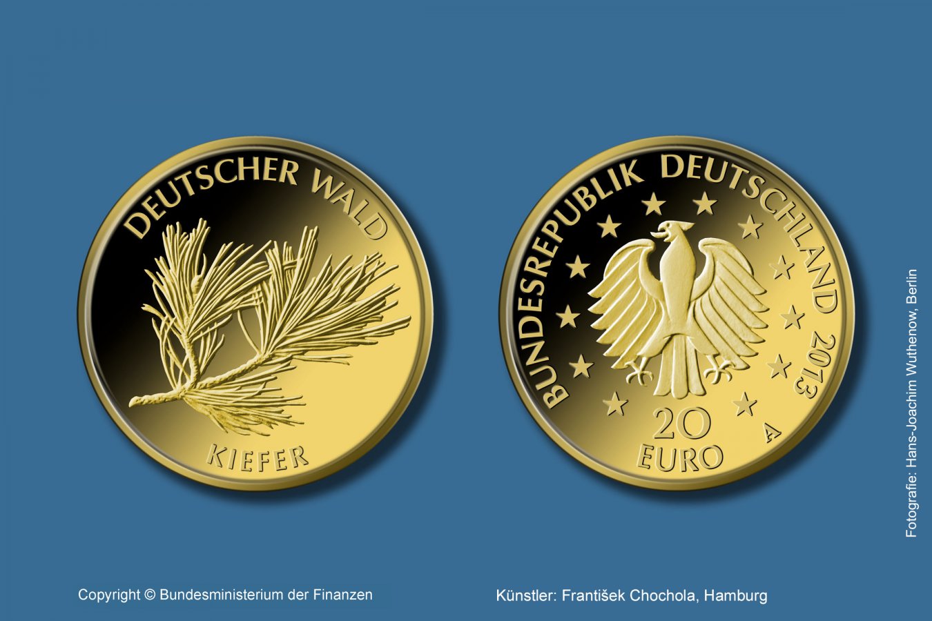 Download 20-Euro-Goldmünze 2013 "Kiefer" 